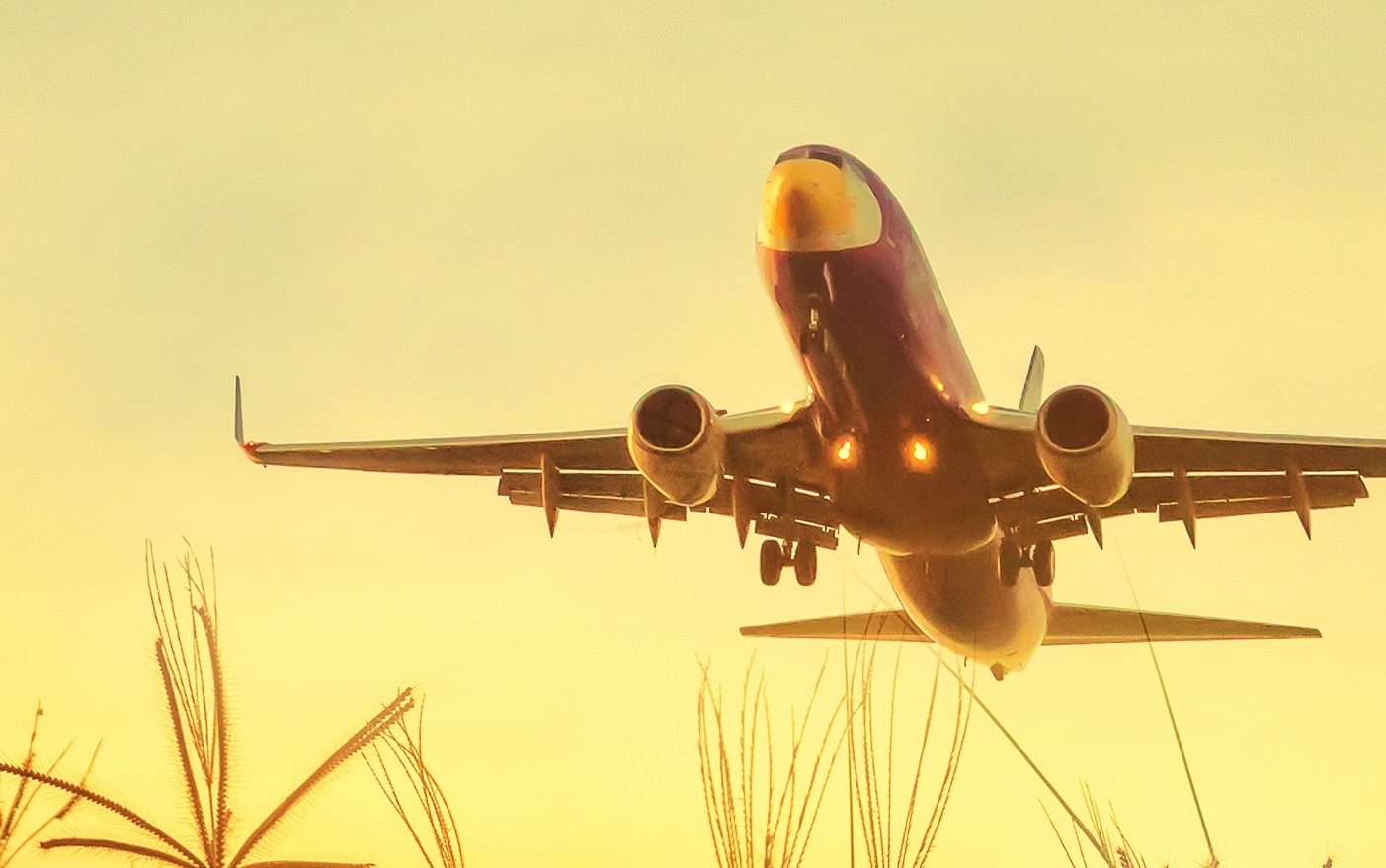 plane-flight-sky-travel-aircraft-sunset-1575625-pxhere.com.jpg